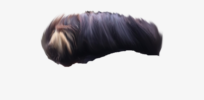 Hair Png ➤ Download - Close-up, transparent png download