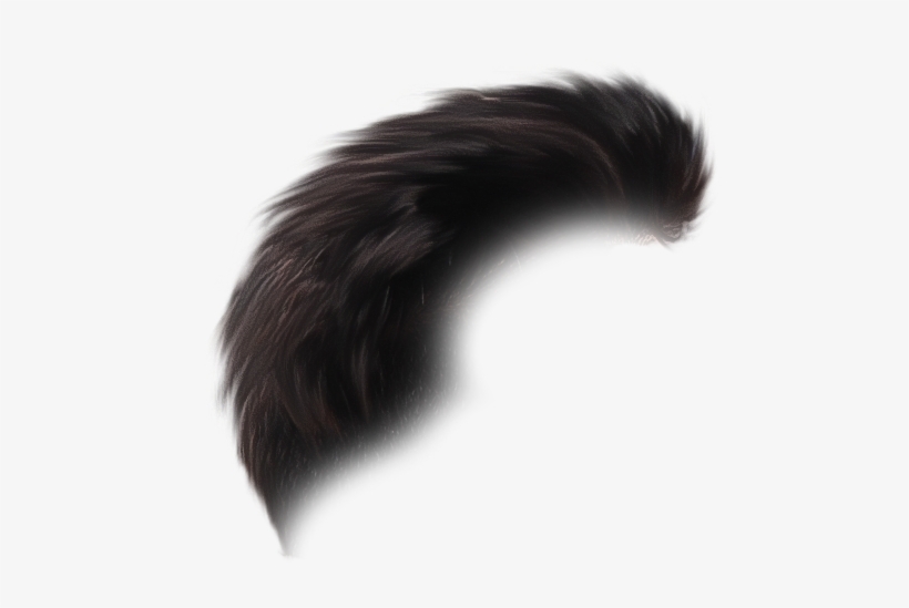 Hair Png - Lace Wig, transparent png download