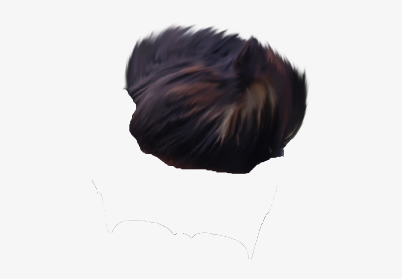 Hair Png ➤ Download - Lace Wig, transparent png download