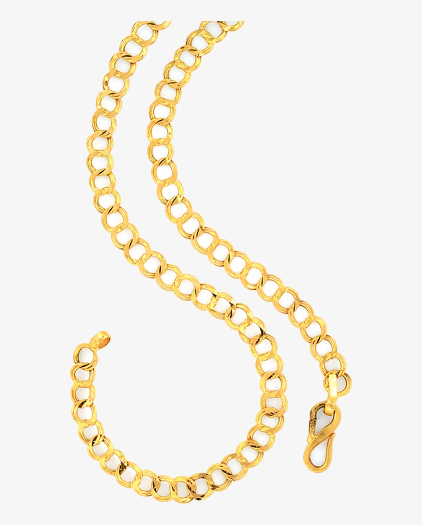 Orra Gold Chain - Necklace, transparent png download