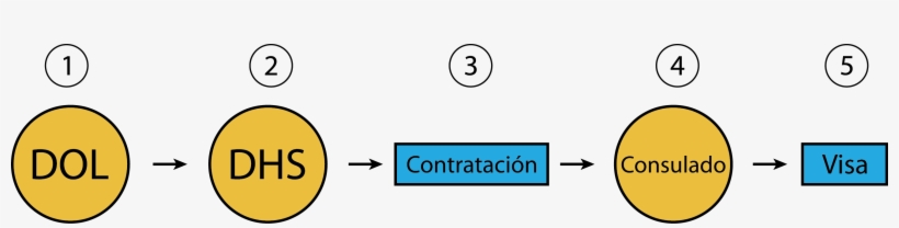 El Empleador Aplica Al Departamento De Trabajo - Circle, transparent png download