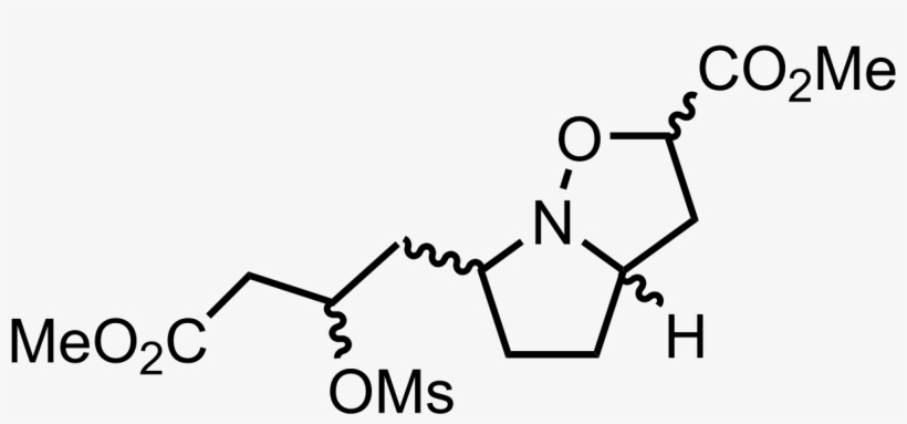 Intermediate Structure - Image File Formats, transparent png download