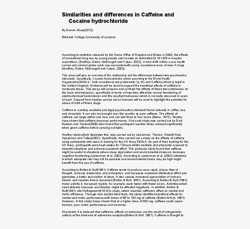 Doc - Folio Eleven From Burchard Of Sion's De Locis Ac Mirabilibus, transparent png download