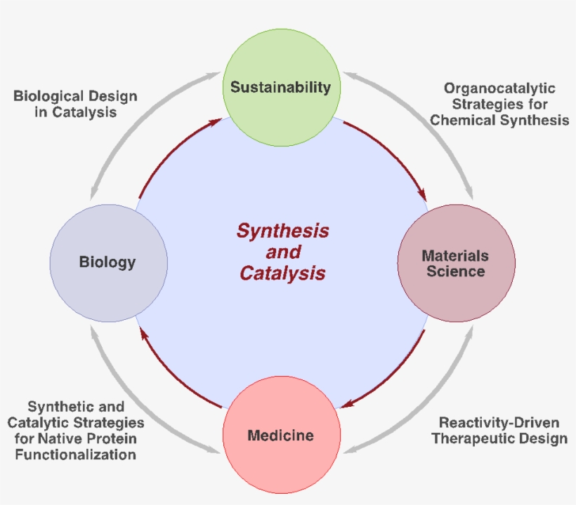 Dr - Taylor - Diagram, transparent png download