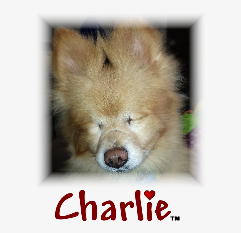 Charlie Trademark - Change, transparent png download