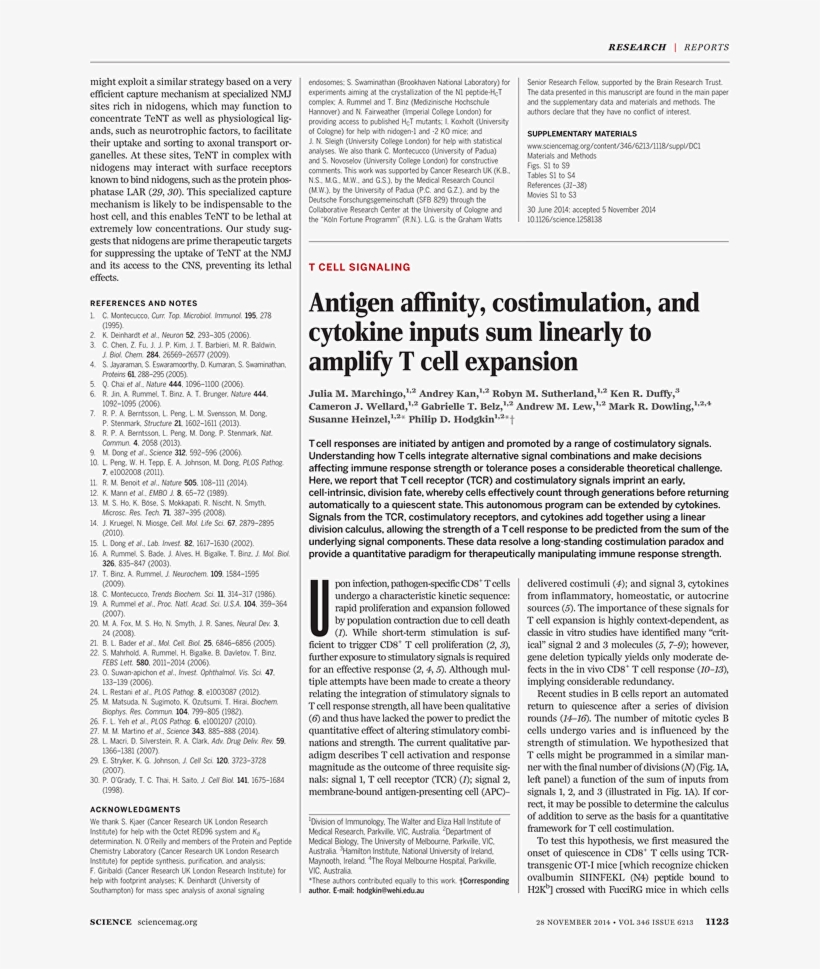 Back Issues - Borealis - Partitur - J. Beuys. Gallery Jan Wagner,, transparent png download