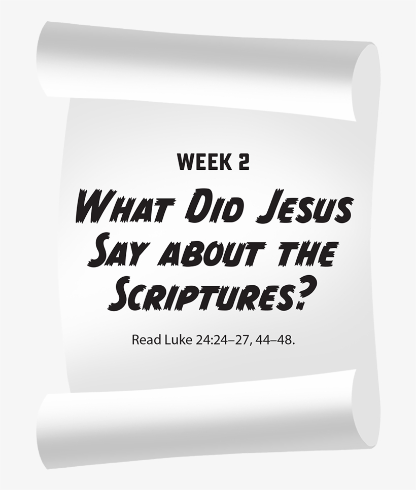 What Did Jesus Say About The Scriptures - Diploma, transparent png download