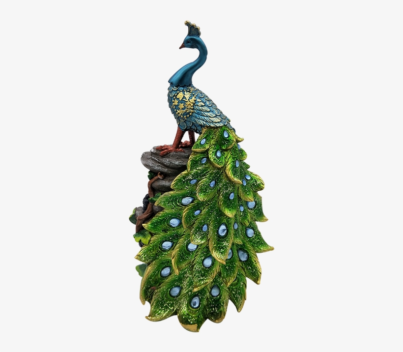 Peafowl, transparent png download