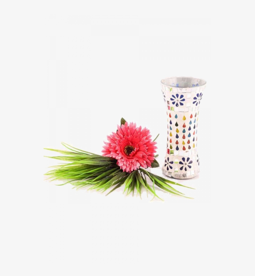 Barberton Daisy, transparent png download