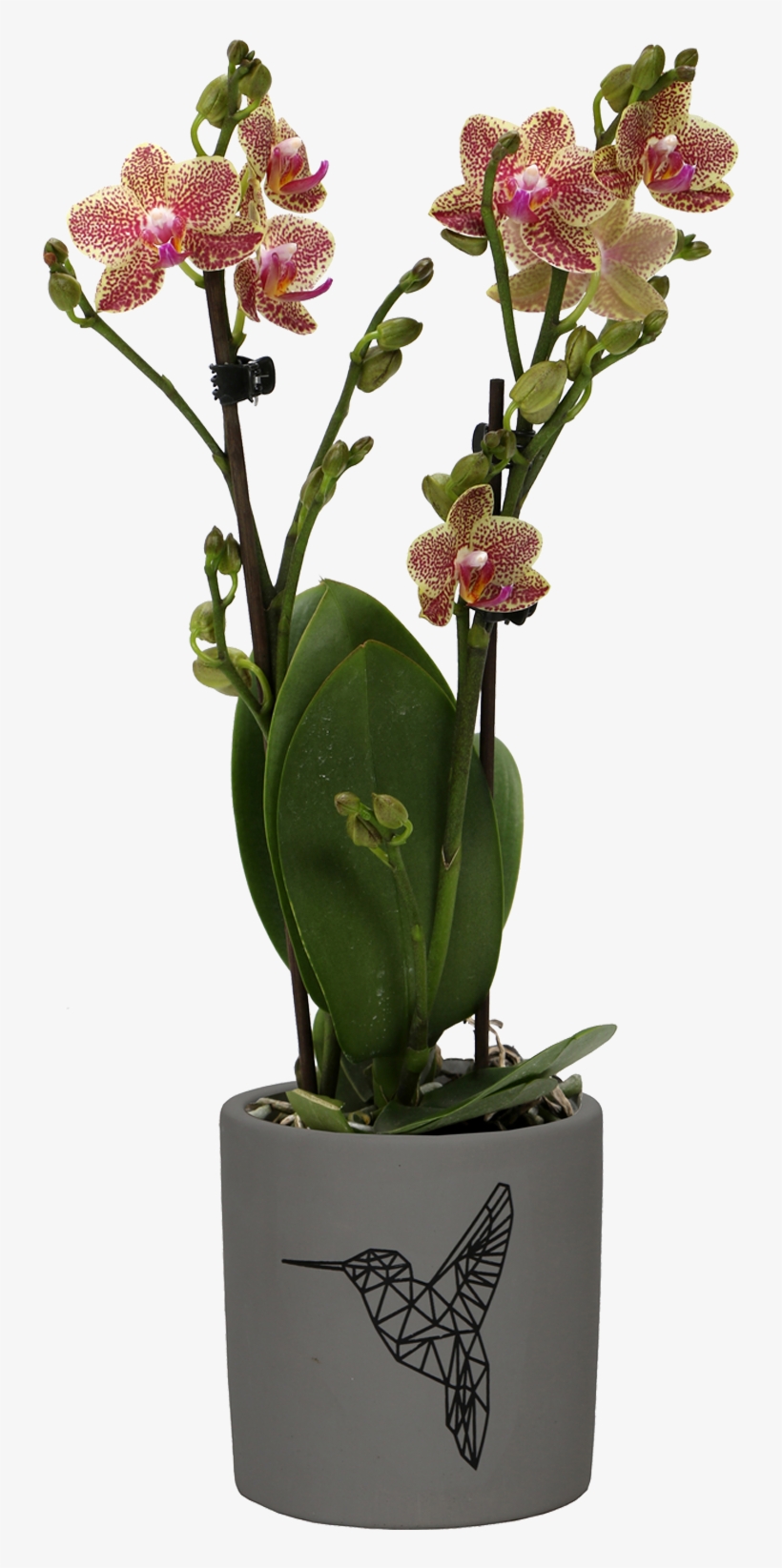 Flower - Artificial Flower, transparent png download