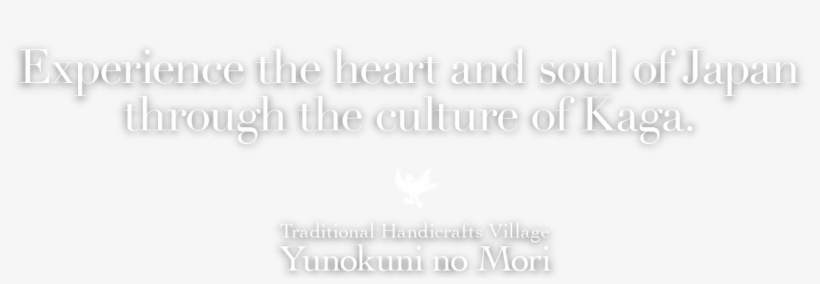 森で見つけた美と技と癒し - Monochrome, transparent png download