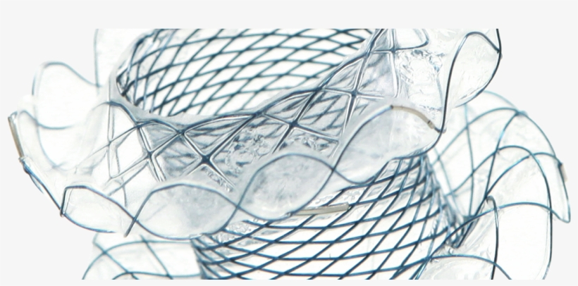 Company News & Product News, transparent png download