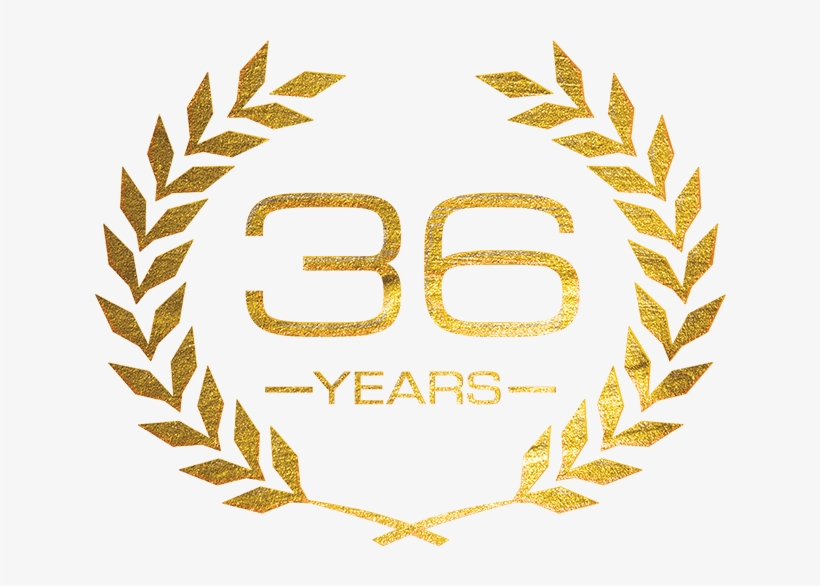 35 Years - Shorts On Tap, transparent png download