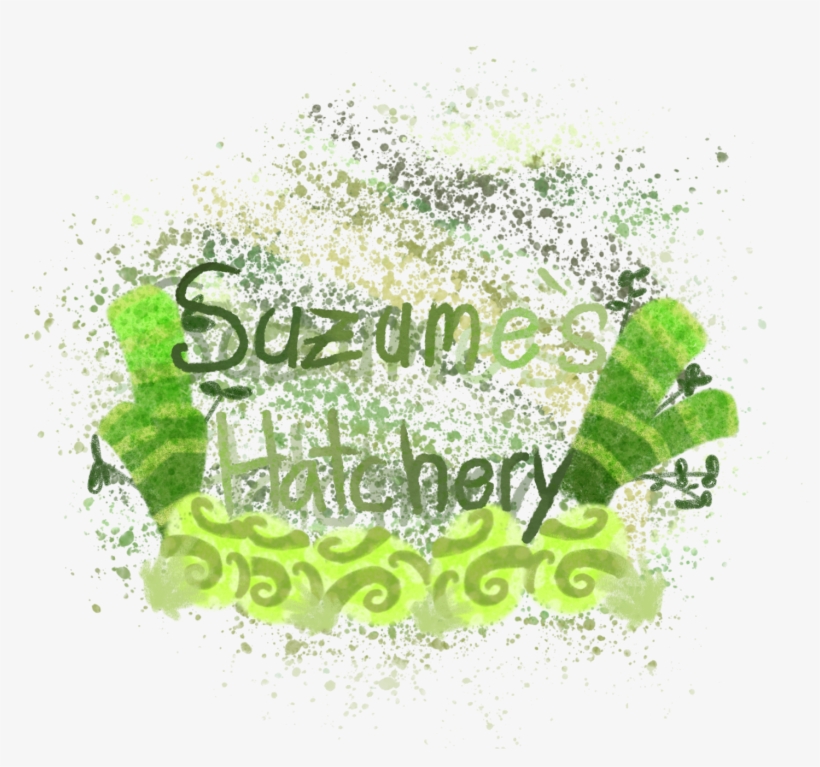 I Finally Got Imgur And Got The Png For My Banner - Calligraphy, transparent png download