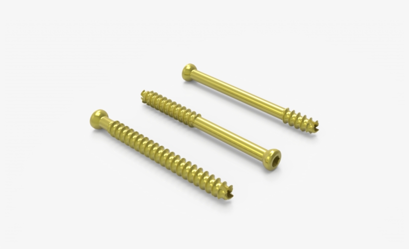 Image Gallery - Cannulated Screw, transparent png download
