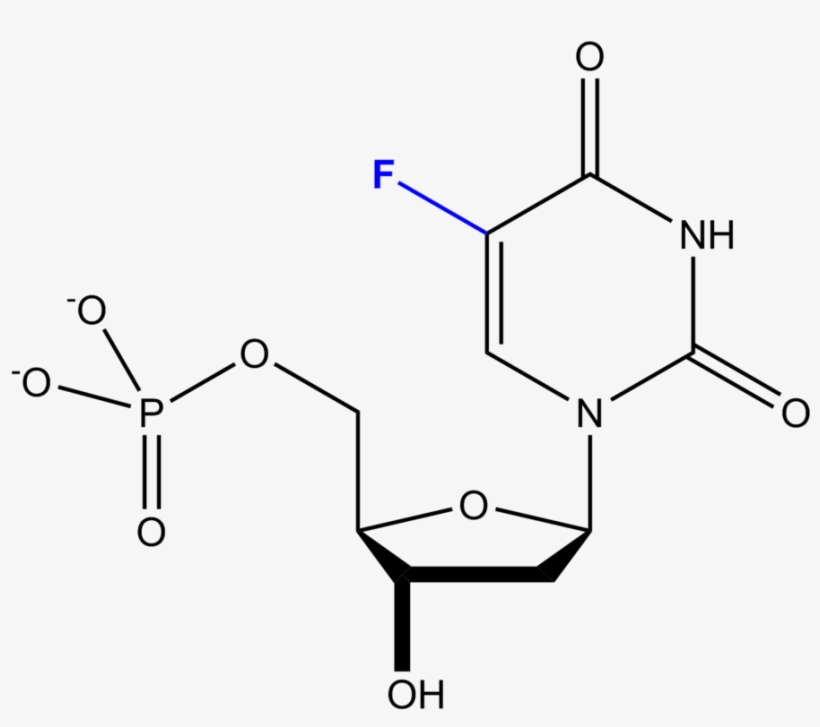 File - 5-fluorodesoxiuridilato - Zidovudine, transparent png download