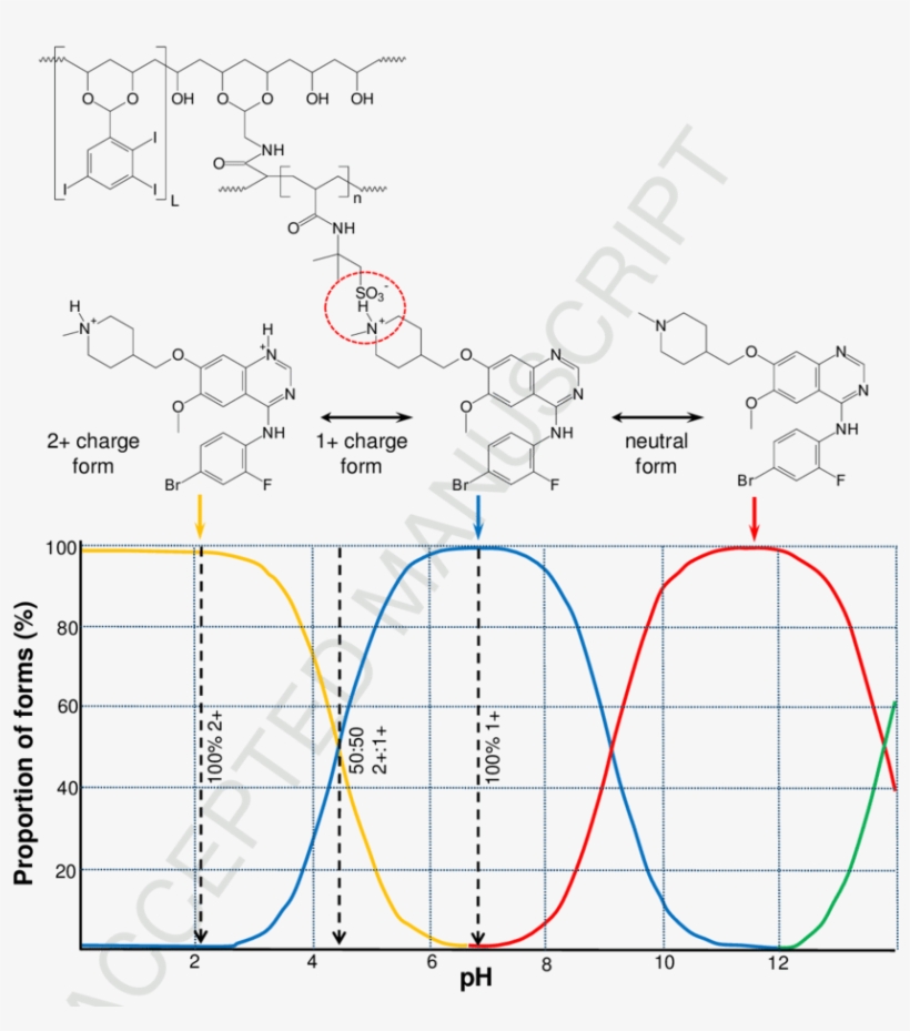 Ionic Interaction Of Dc Bead™ With Vandetanib (top) - Diagram, transparent png download