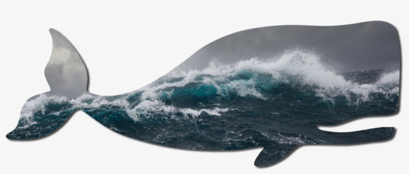 New Zealand Waves, transparent png download