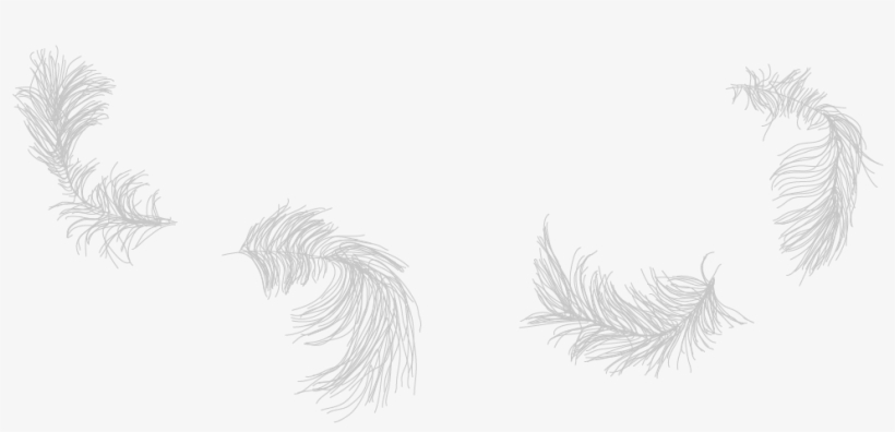 Aboriginal Arts Collective Of Canada - Sketch, transparent png download