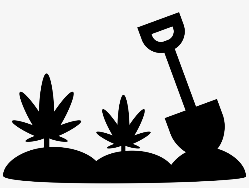 Cultivation Computer Icons Medical Transprent Png Free - Cannabis, transparent png download