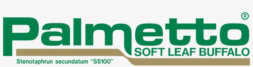 Palmetto Soft Leaf Buffalo Grass Logo - Palmetto Grass, transparent png download