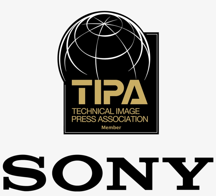 Sony Celebrates Record Success At 2018 Tipa Awards - Sony, transparent png download