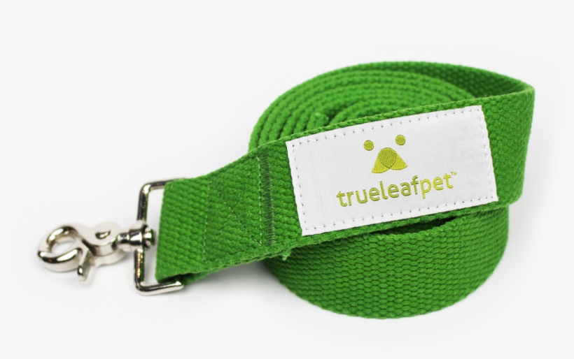 Belt, transparent png download