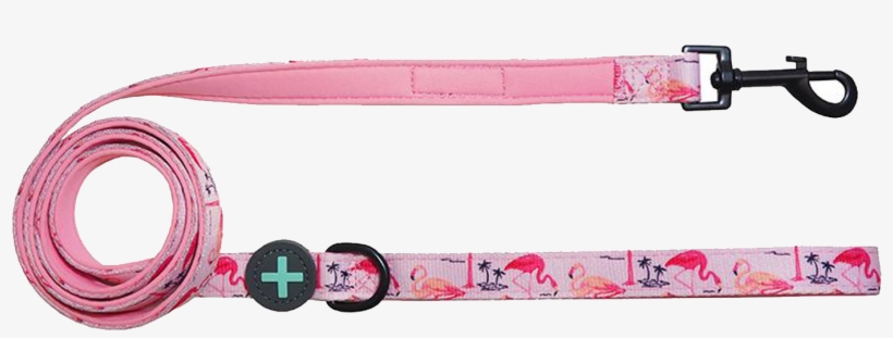 Strap, transparent png download
