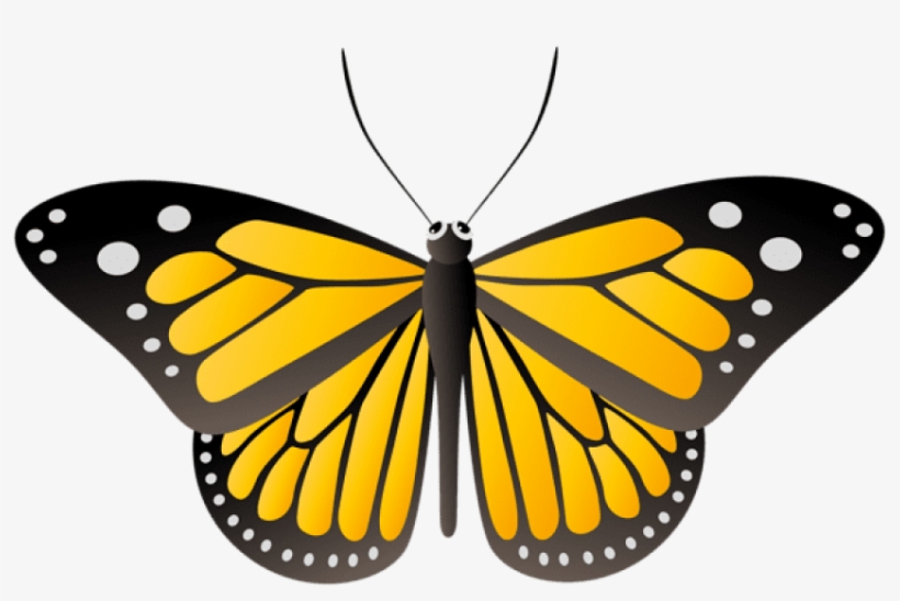 Free Png Download Butterfly Yellow Clipart Png Photo - Butterfly Clipart, transparent png download