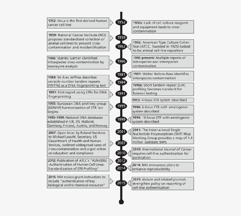 Click Figure To Enlarge Figure - Document, transparent png download
