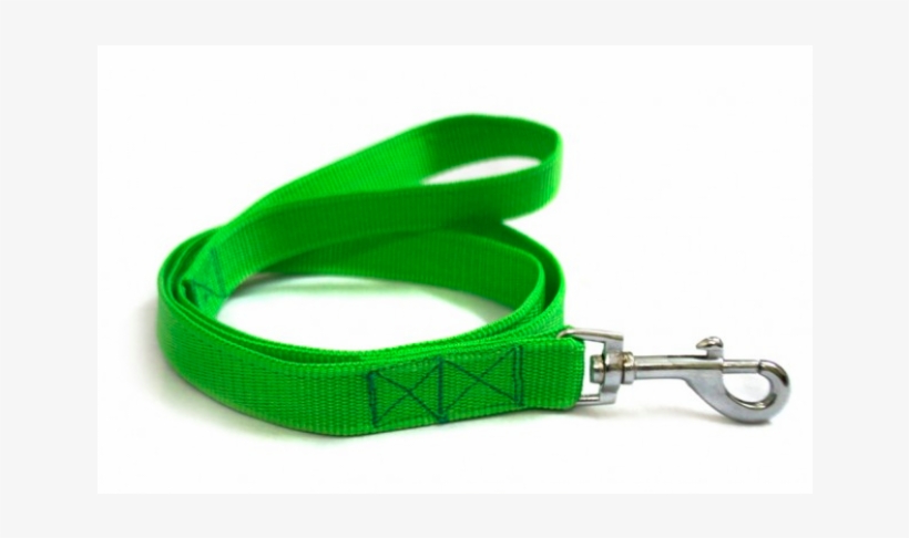 Nylon Dog Leash - Strap, transparent png download