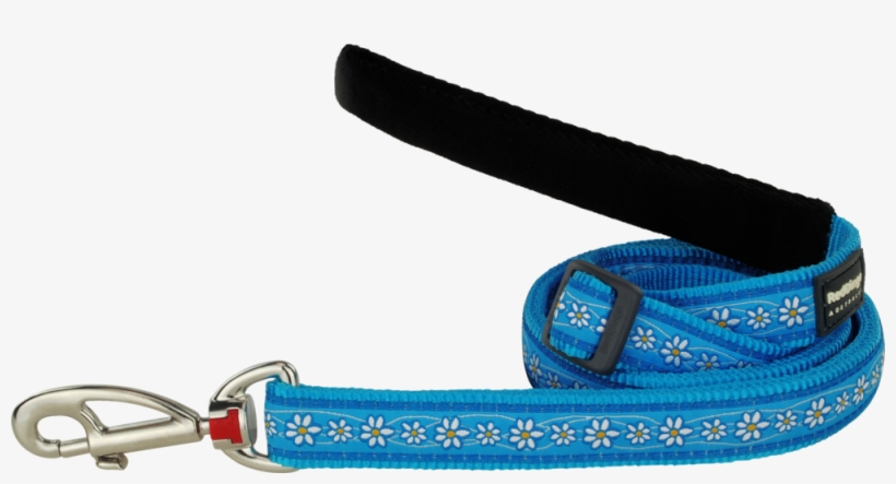 Strap, transparent png download