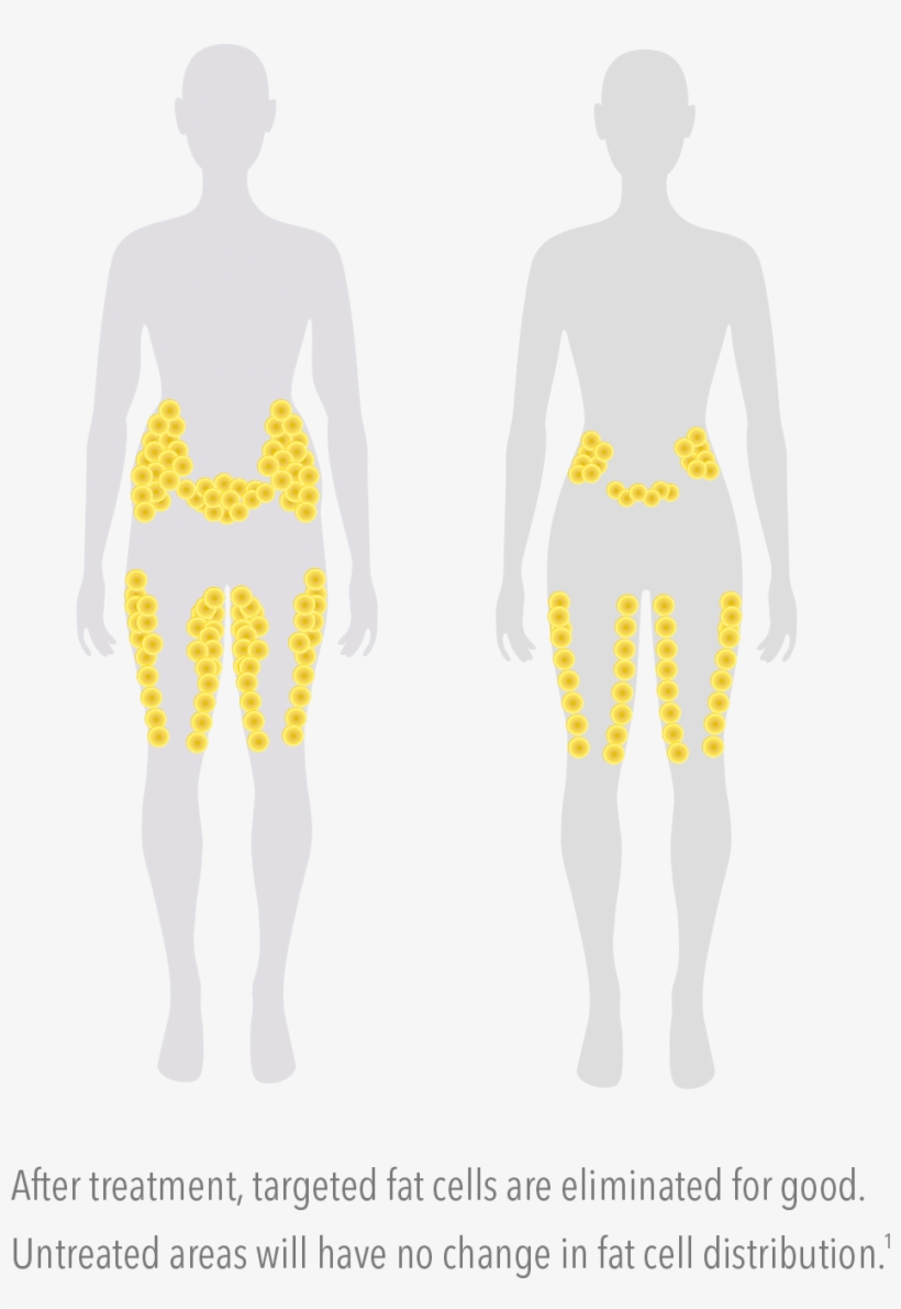 What - Standing, transparent png download