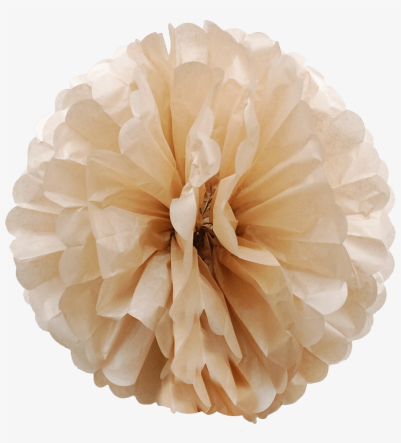 Latte Colored Paper Pom Poms-01 - Tissue Paper, transparent png download