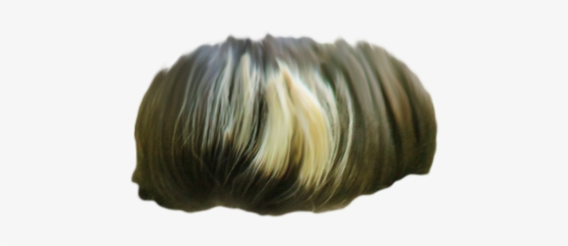 Hair Png ➤ - Lace Wig, transparent png download