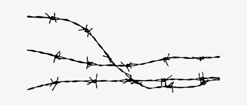Barb Wire Clipart Frame - Free Photo Barbed Wire, transparent png download