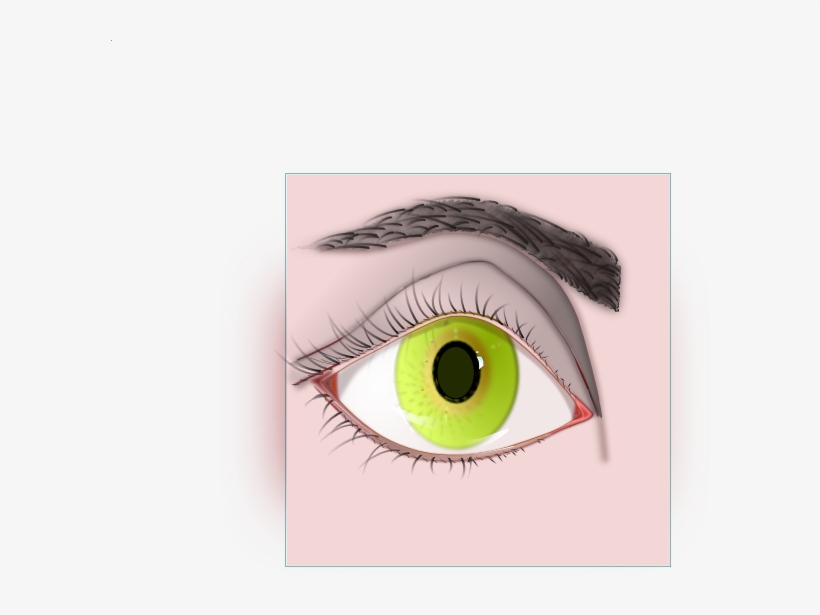 Female Eye And Eyebrow Clip Art At - Clip Art, transparent png download