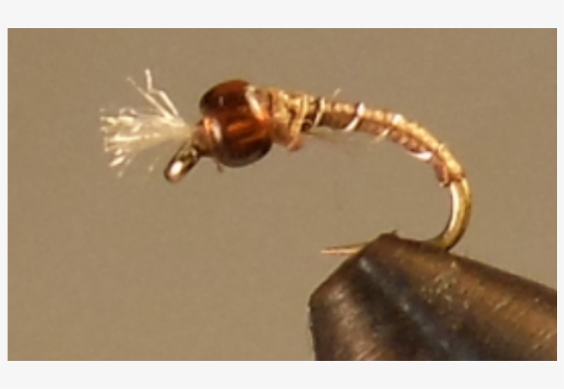 More Views - Mayflies, transparent png download