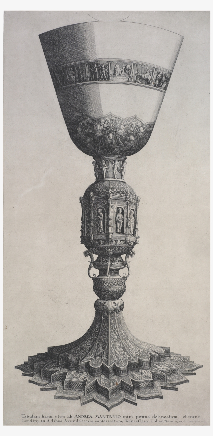 Etching Of A Chalice - Splendour At Te Papa, transparent png download