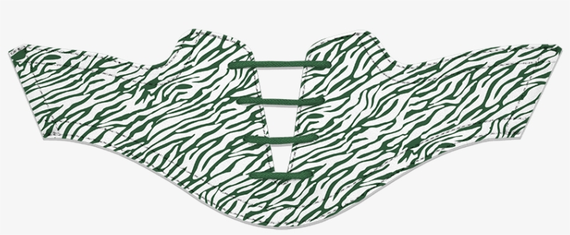 Women's Zebra Pattern, transparent png download