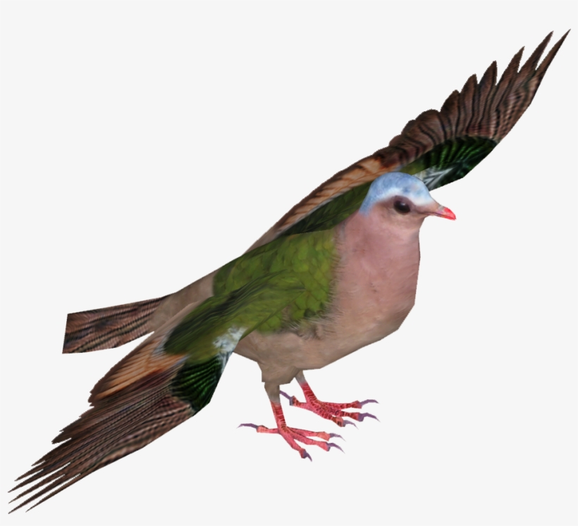 Green Winged Pigeon - Stock Dove, transparent png download