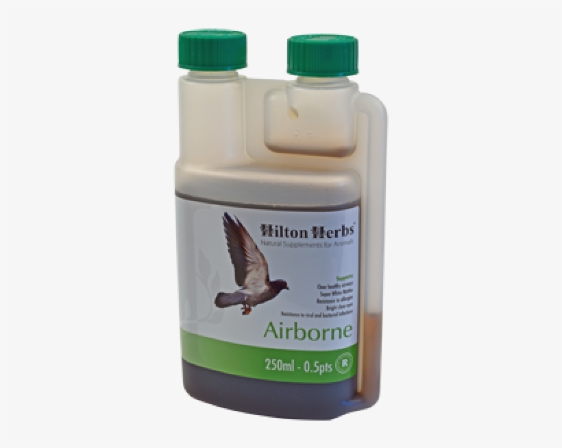 Healthy Respiration For Pigeons - Hilton Herbs, transparent png download