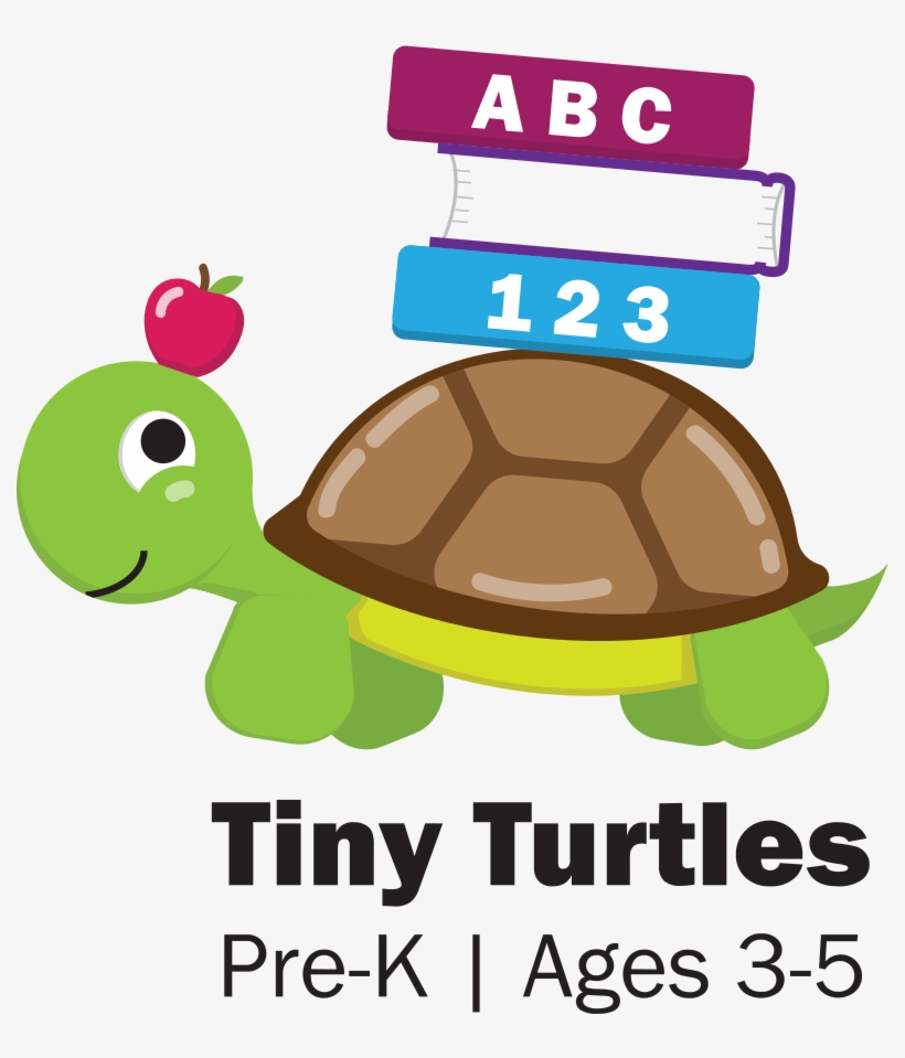 Tiny Turtle Cartoon, transparent png download