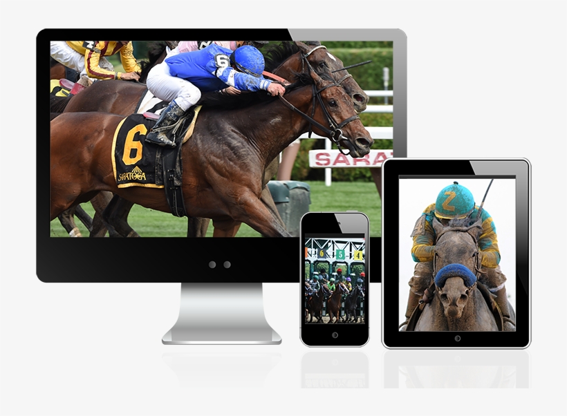 Horse Betting Png, transparent png download
