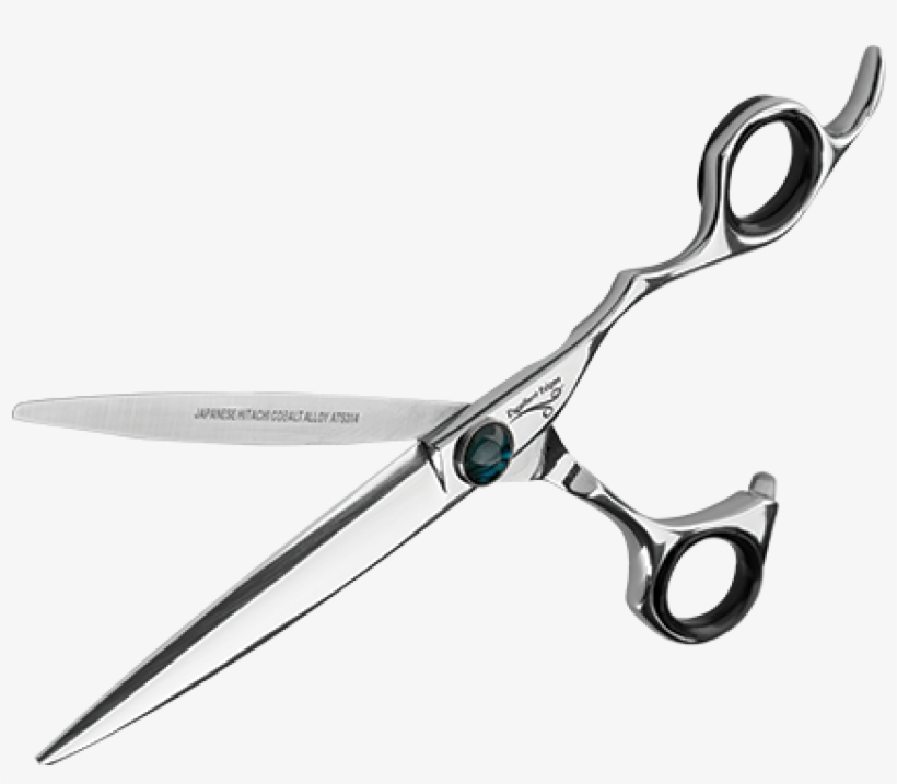 Sting Ray - Excellent Edges Stingray, transparent png download