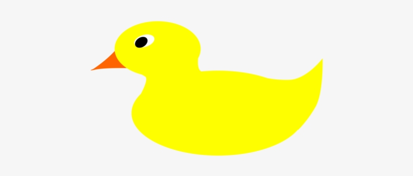 Duck Fauna Beak - Duck, transparent png download