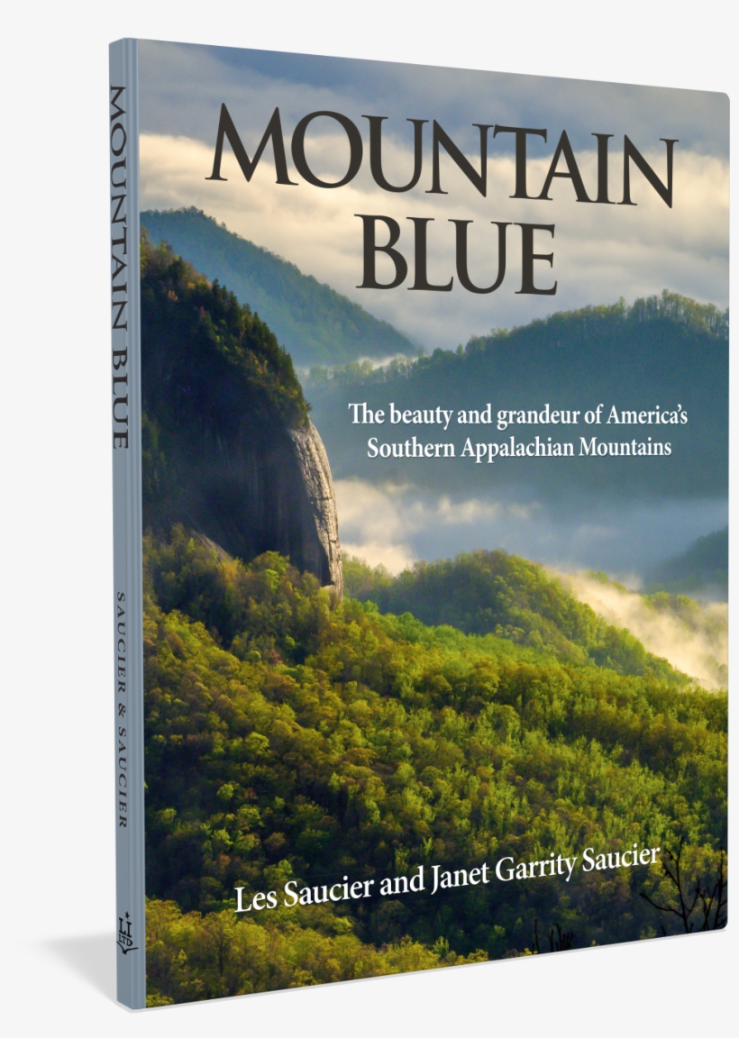 Your Shopping Cart - Poster, transparent png download