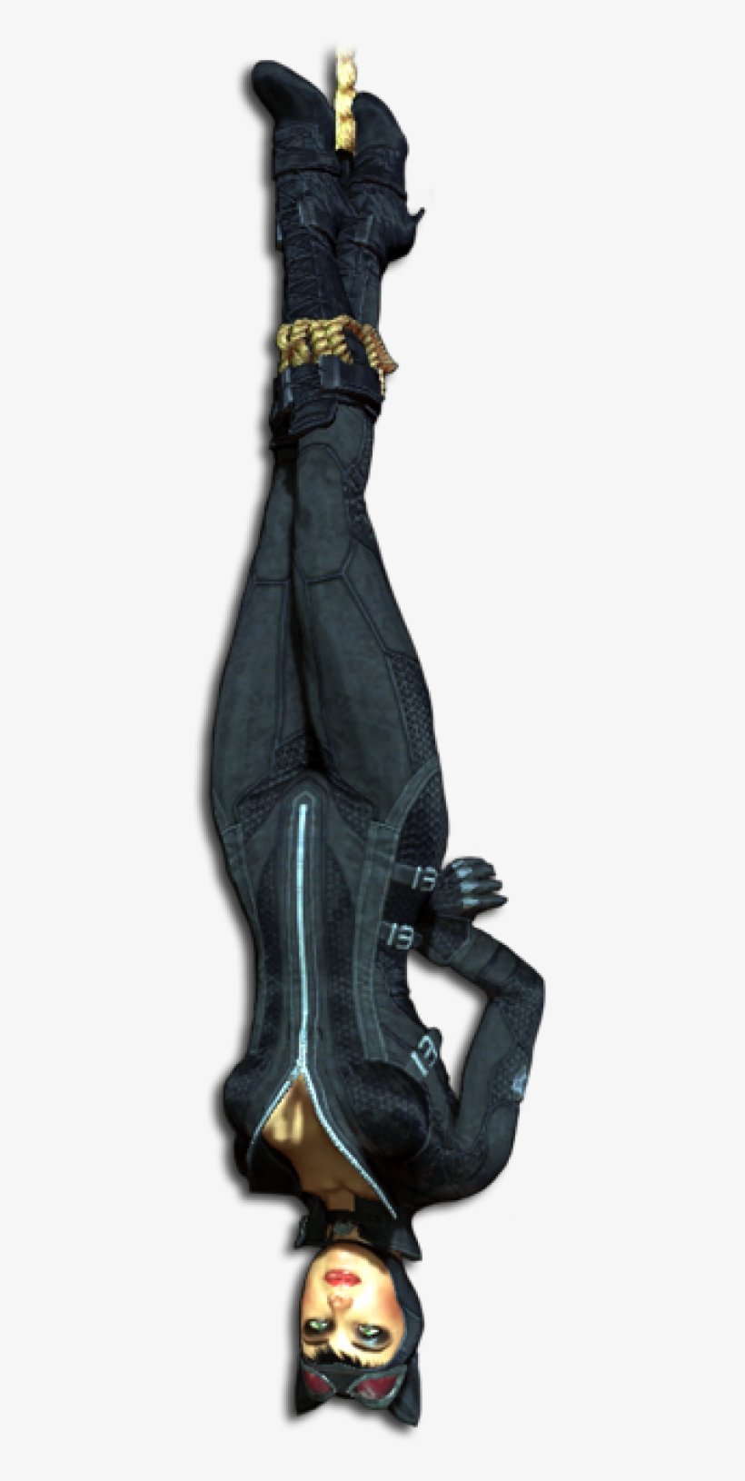 Catwoman Up Down - Batman Arkham City Catwoman, transparent png download