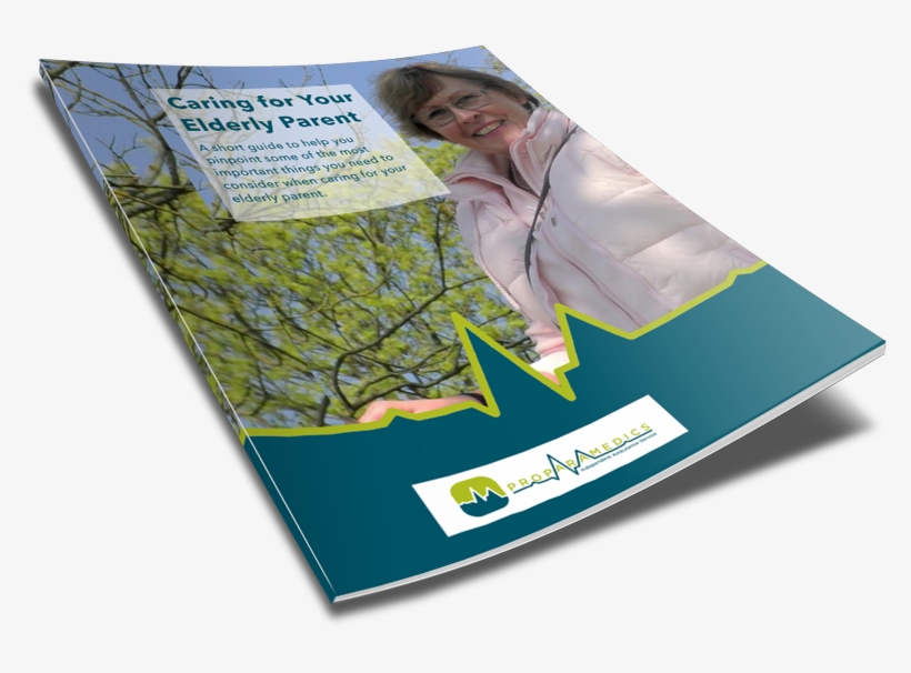 Cover Shot For Family Transfer Service Ebook - Flyer, transparent png download