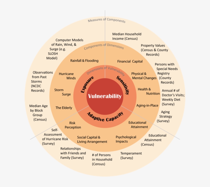 Vsd Showing Measures Components 1473265756934737093 - Elderly Vulnerability, transparent png download